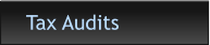 Tax Audits